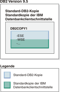 Beispiel einer Standard-DB2-Kopie und einer Standardkopie der IBM Datenbankclientschnittstelle.