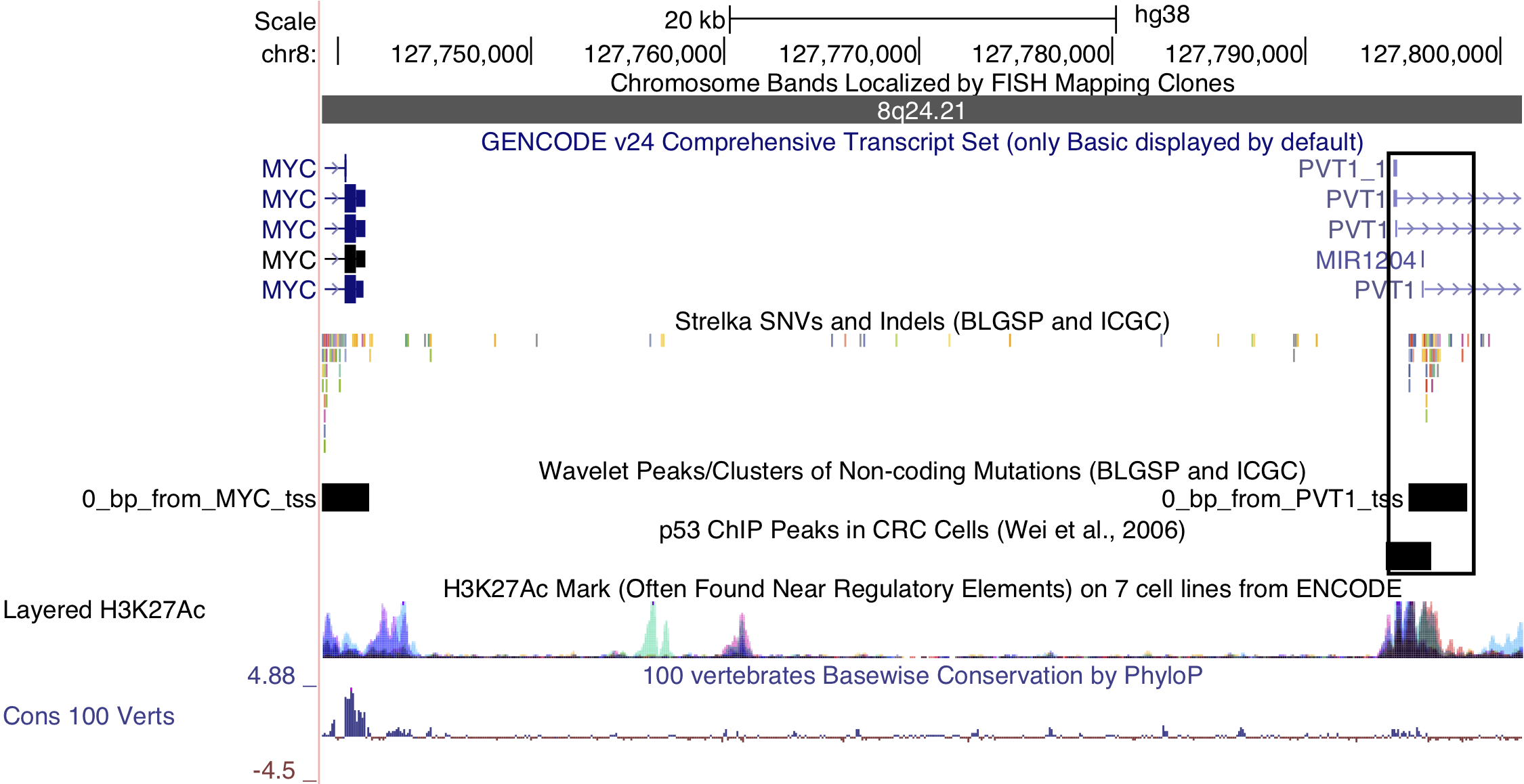 – Non-coding mutations in the PVT1 promoter region. Note the p53 chromatin immunoprecipitation (ChIP) peak that overlaps the mutations in this cluster.