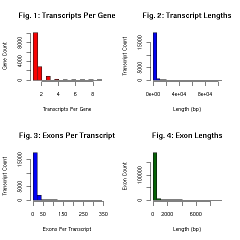 EnsEMBL gene model summary