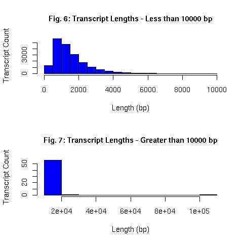 Distribution of EnsEMBL transcript lengths