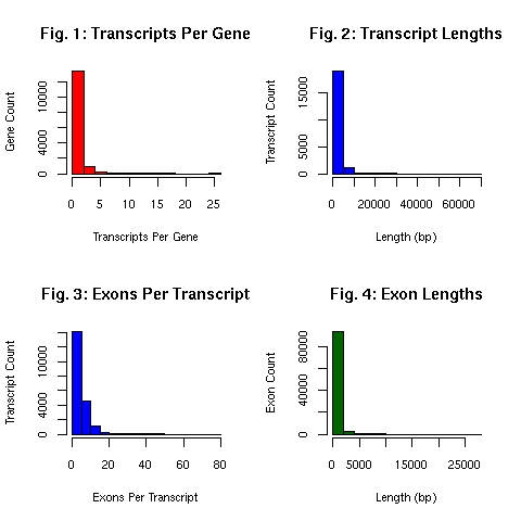 EnsEMBL gene model summary