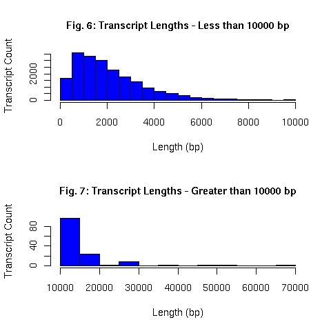 Distribution of EnsEMBL transcript lengths