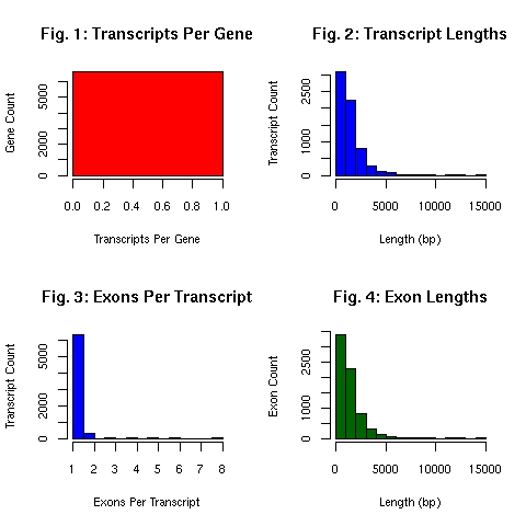 EnsEMBL gene model summary