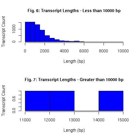 Distribution of EnsEMBL transcript lengths