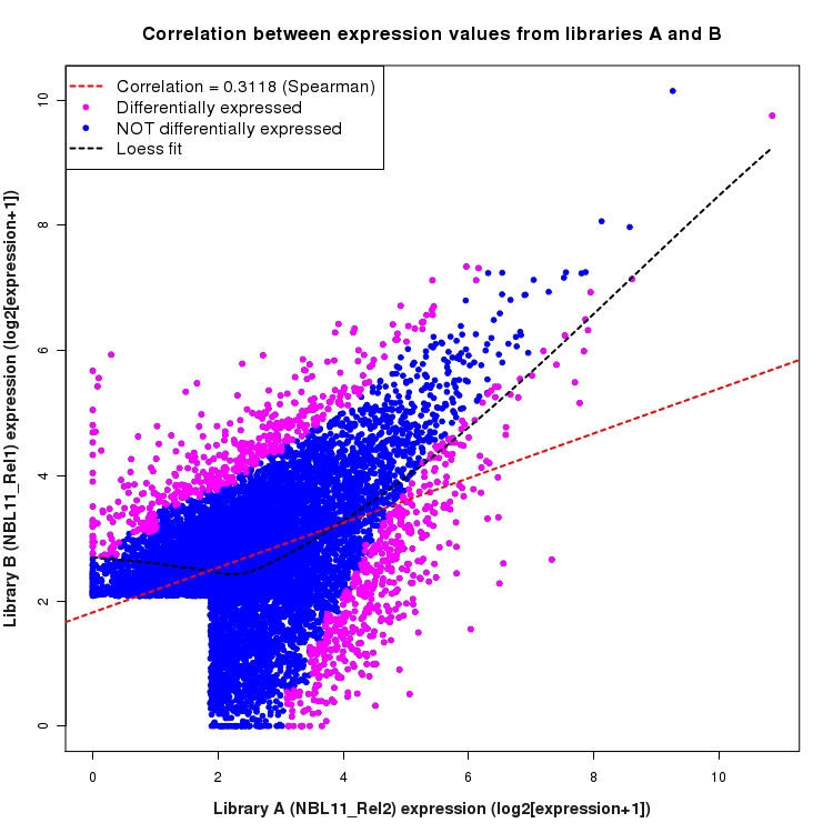 Scatter plot of expression values for comparison: NBL11_Rel2_vs_NBL11_Rel1 and data type: Intron