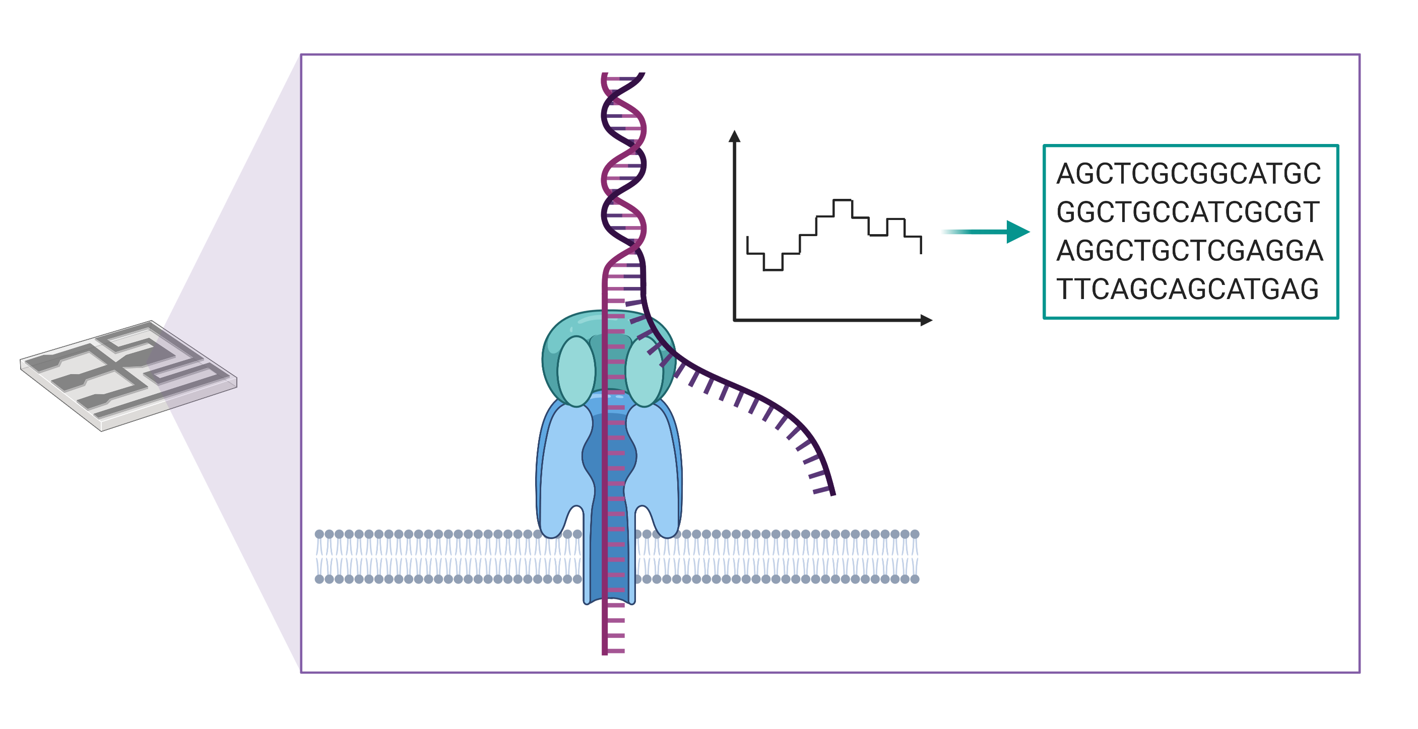 Nanopore: tecnologia de sequenciamento de long reads