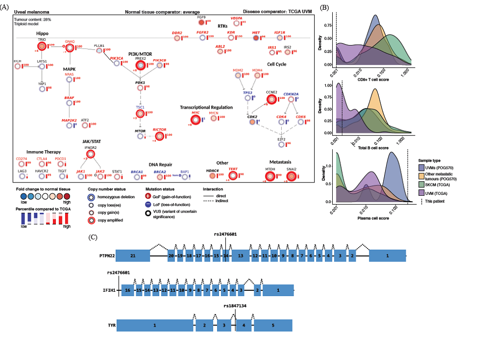 Summary of results from comprehensive whole genome and transcriptome analysis.