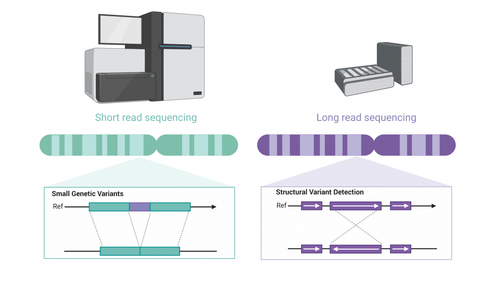 Nanopore: tecnologia de sequenciamento de long reads